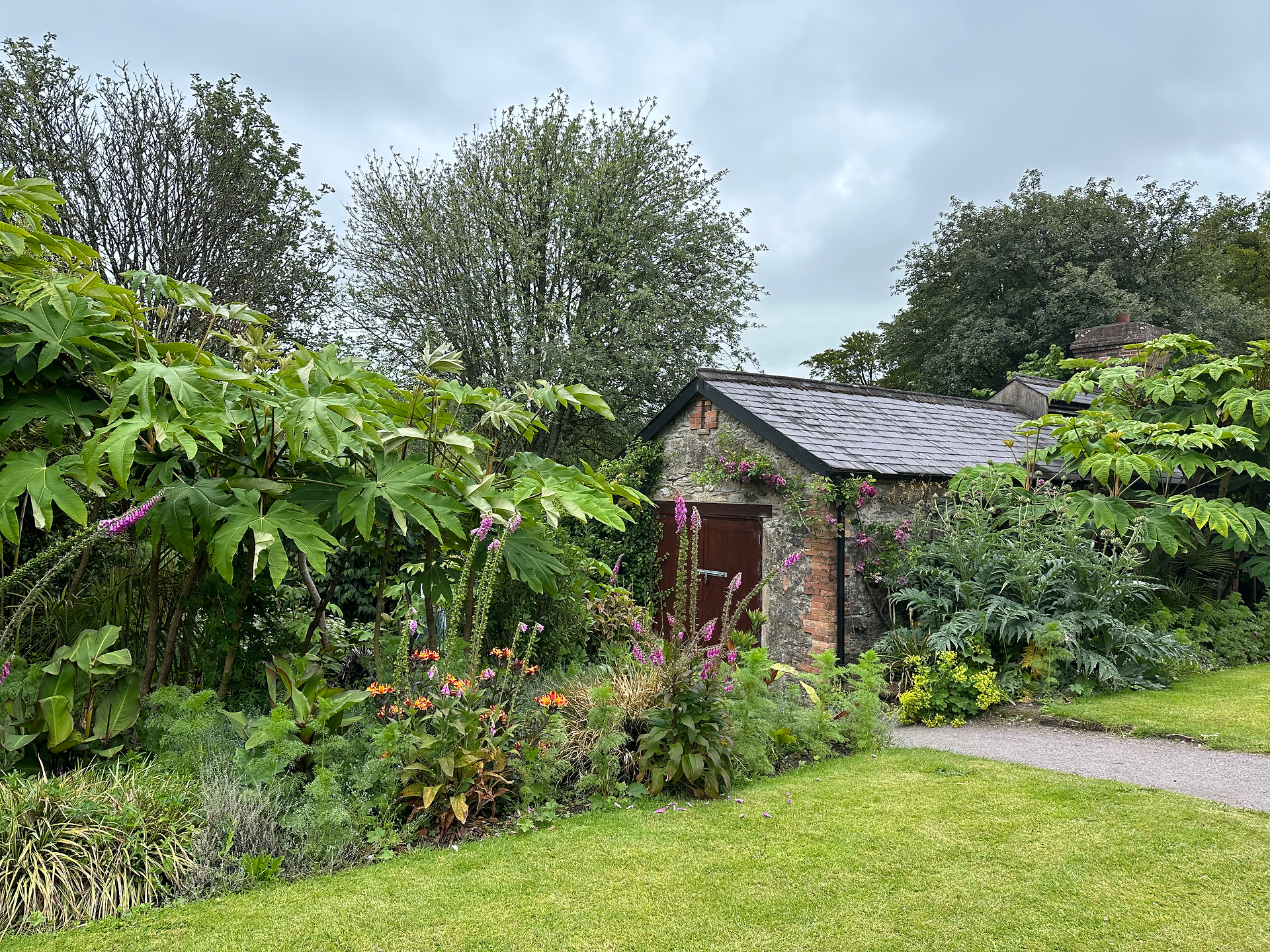 shed and foliage in blarney castle ireland