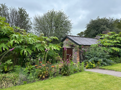 shed and foliage in blarney castle ireland