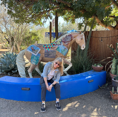 wood horse in fridas garden in the tucson botanical garden