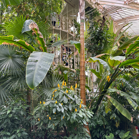 view inside palm house at kew gardens london england