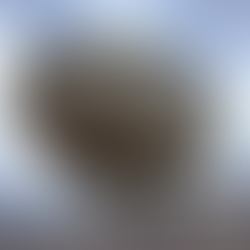 the egg from underneath in empire state plaza albany ny