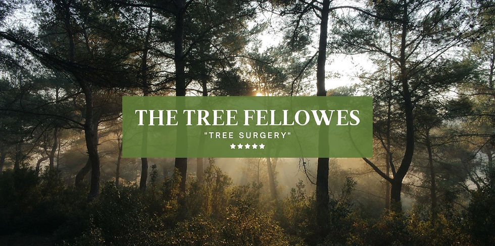 THE TREE FELLOWS (2)_edited.jpg