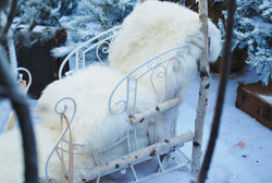 Cozy Faux Fur Sleigh