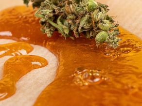 ¿Cuál es la diferencia entre la mota y el wax?