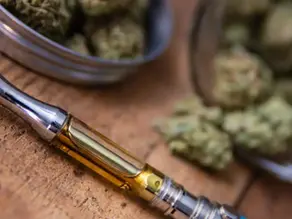 Plumas de wax para 2026