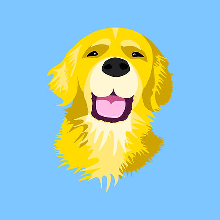 Harold golden retriever