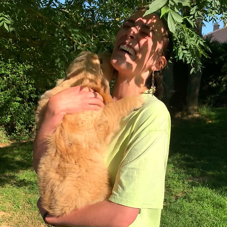 Chiot Golden Retriever