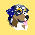 Illustration Berger Australien