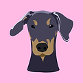 Illustration Doberman