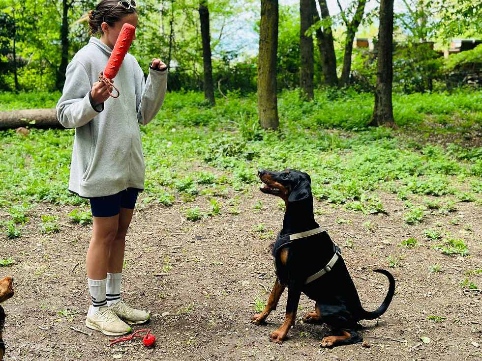 Cours d’éducation