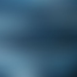 Painting Over the Problem: Regulatory Gaps in the U.S. Art Market