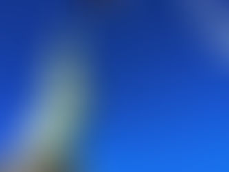 The Chicken or the Egg: How the United States Risk Capital System Fuels Its Entrepreneurial Success