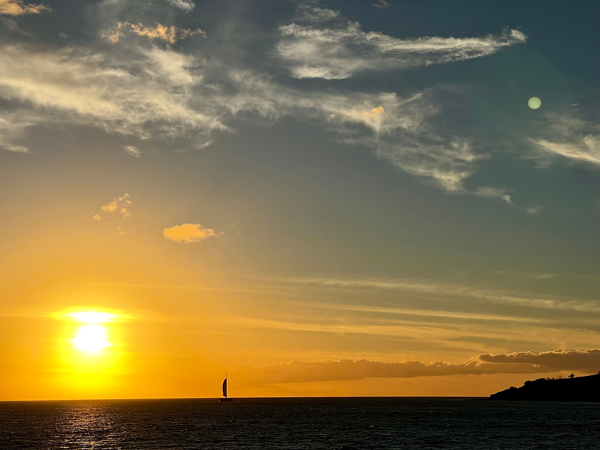 HOME Coconut Dreams Maui