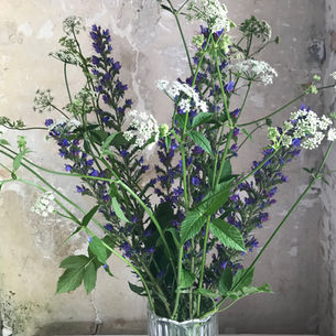monday bleu-vert-blanc