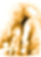 basic-5.jpg