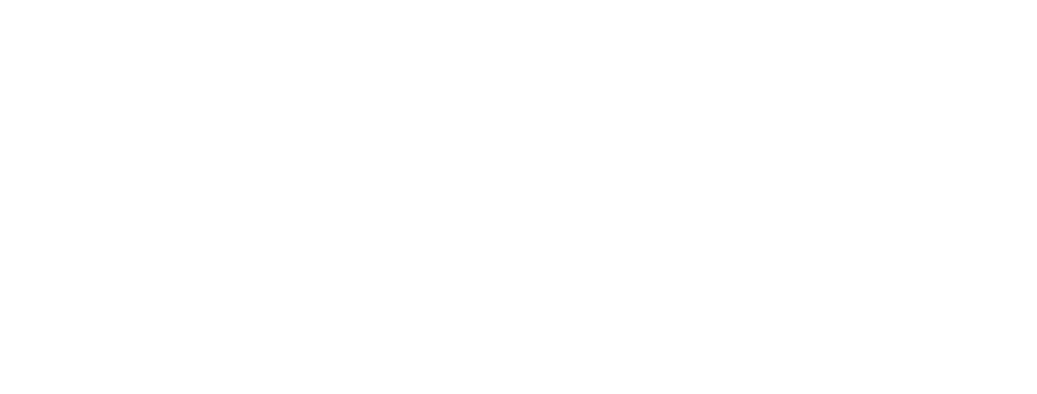 Logo web_edited.png