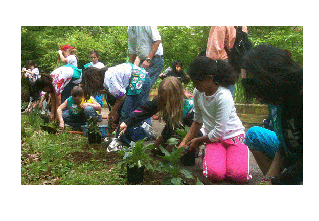 Gardener badge GreenScape.gif