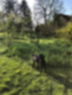 Unknown-7
