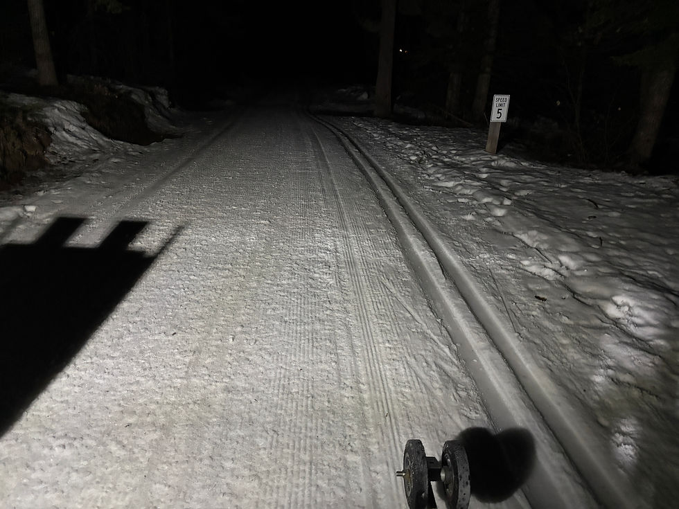 Grooming Report... 2/19/2026