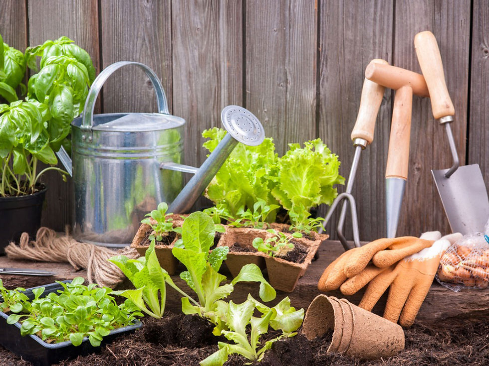 Beginning Gardening with Amy Cummings, Master Gardener