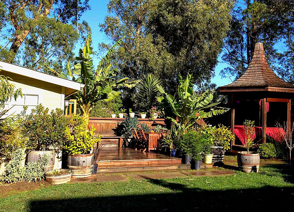 Screenshot 2025-07-16 at 12.42_edited.jpg