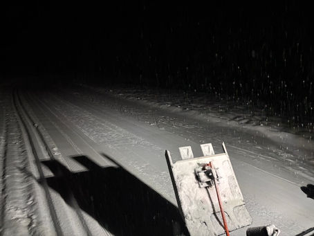 Groomer's Report... 1/3/2025