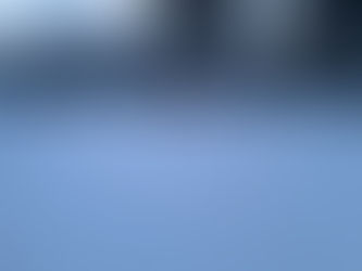 Grooming Report... 12/27/2025