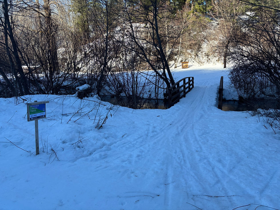 Grooming Report... 1/15/2026