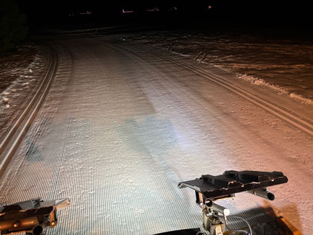 Grooming Report... 1/9/2026