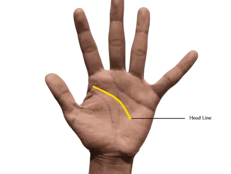 The Head Line In Palmistry : Decoding the Line of Thought