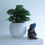 Miniature : Minouche marmotte