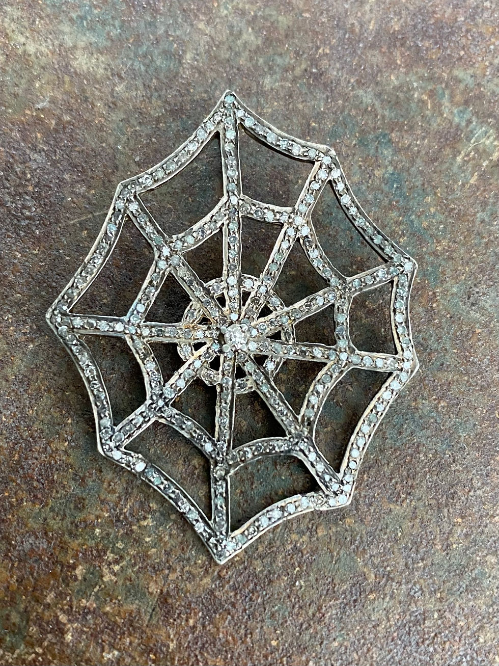 WEB Diamond silver Charm