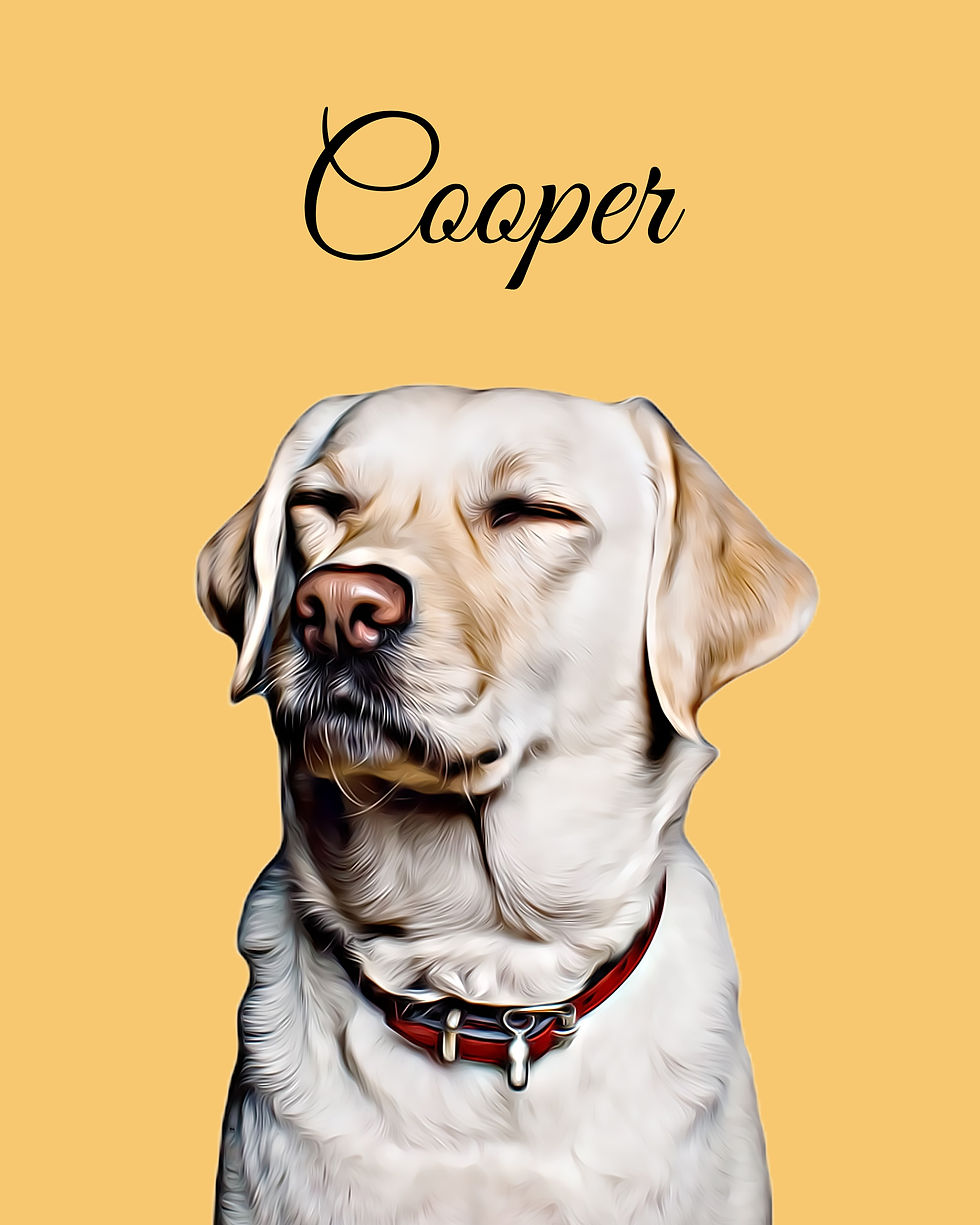 Cooper