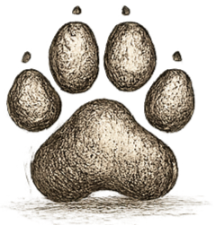 ChatGPT Image May 10, 2026, 10_50_49 PM (1)_edited.png