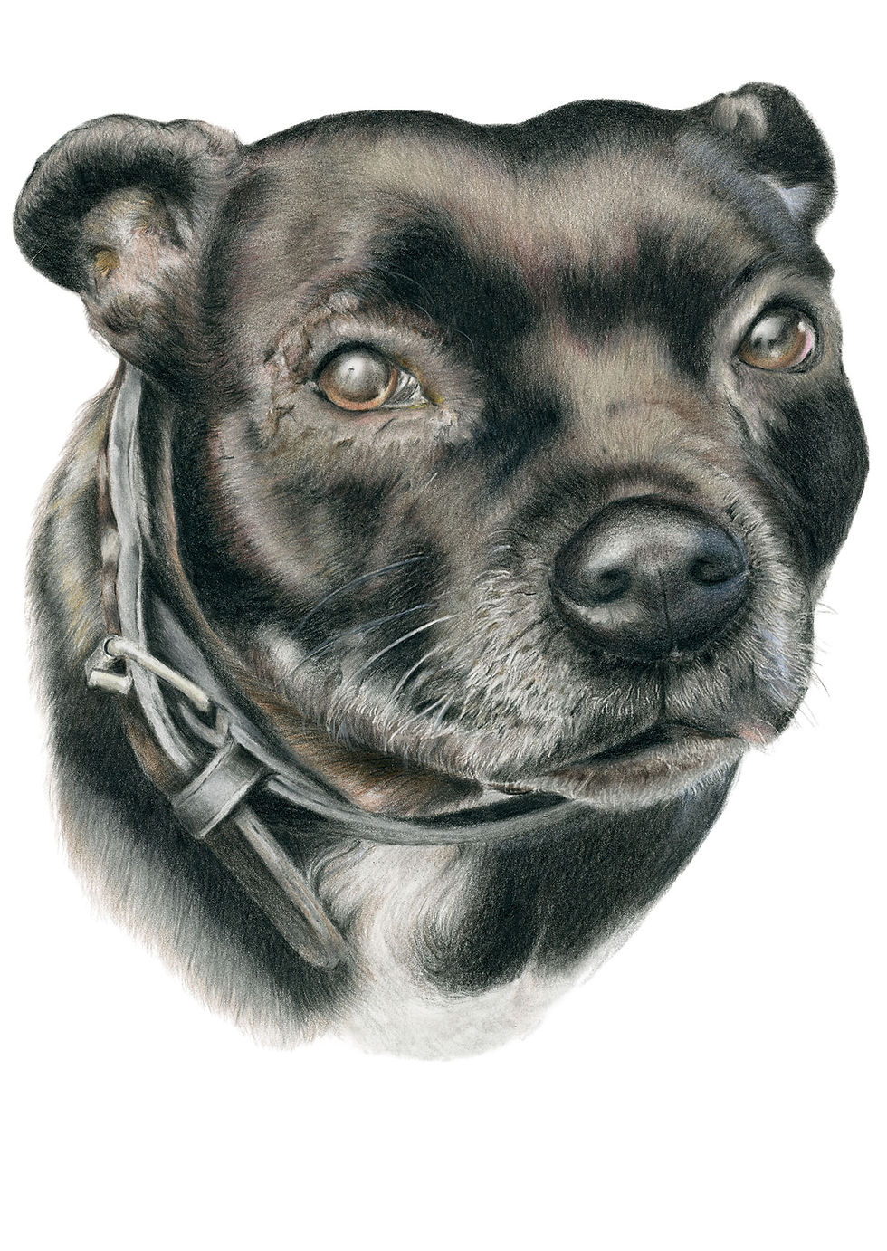 Paw Trait Completed.jpg