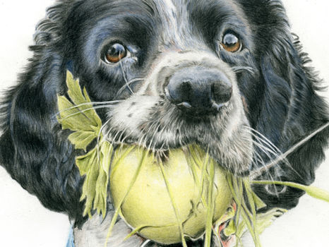 Behind the Creation of Pet Portraits: A Personal Journey into Art