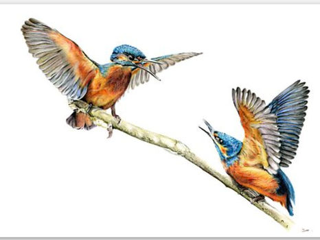 Discover My New Website and Online Shop