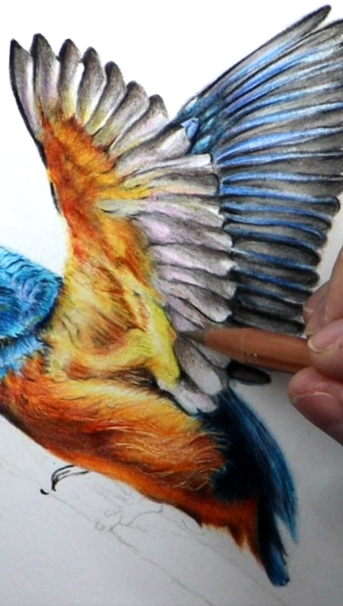 wings.jpg