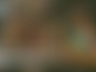 Why Independent Bookstores Matter More Than Ever in 2026