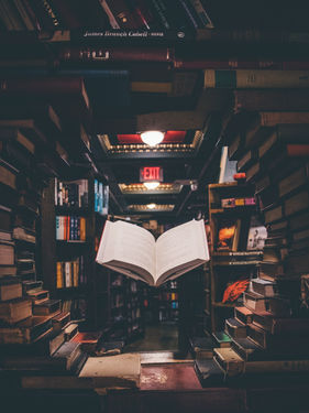 The 7 Steps to Writing Your Own Book