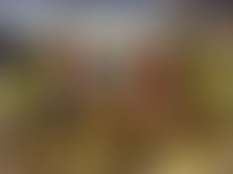 Sunday Homily, 1 March 2026 - Fr Paul Rowse, OP