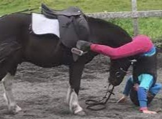 girl and pony_edited.jpg