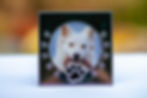 Picture Frame - Dogs