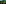 Bush_Tree Package