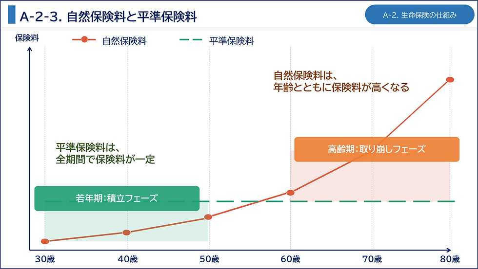 自然保険料と平準保険料
