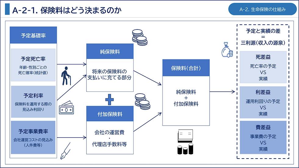 生命保険の保険料はどう決まるのか