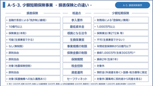 少額短期保険事業(損害保険との違い)