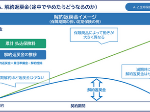 解約返戻金 - 途中でやめたらどうなるのか -