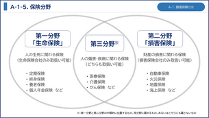 保険分野
