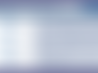 損害保険会社の主な業務内容